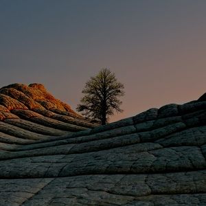 Meet your Posher, Marla